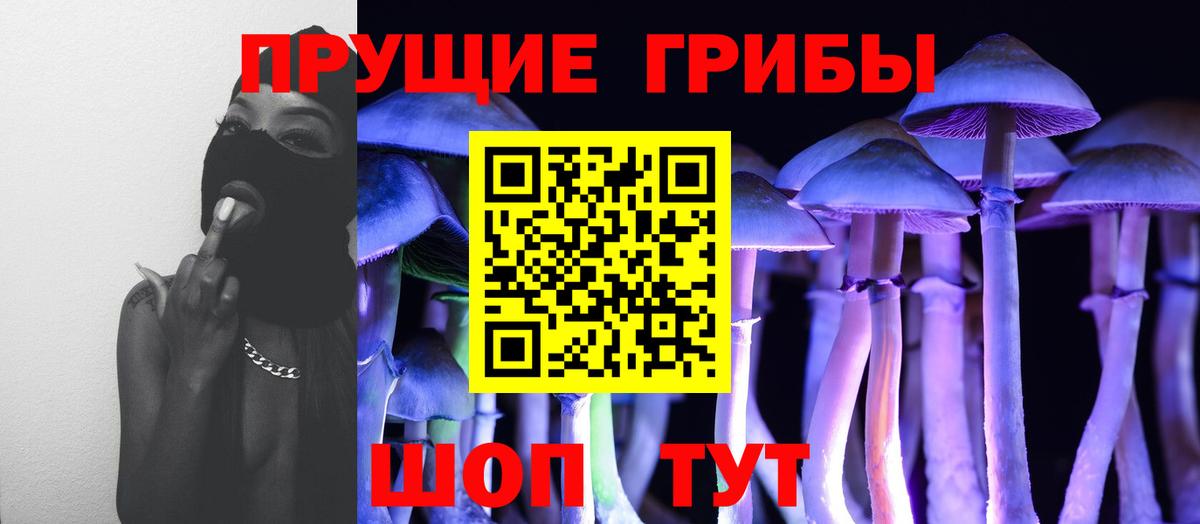 Галлюциногенные грибы Magic Shrooms Тара